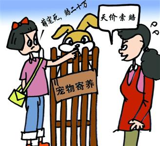 宠物兔托管时死亡 主人索赔20万-上海政法综治
