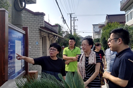 宝山区委赴罗店镇开展民主监督工作调研