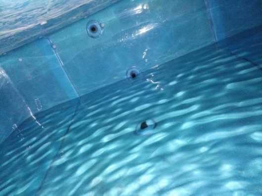 沪中心城区二次供水改造年底完成 郊区改造启