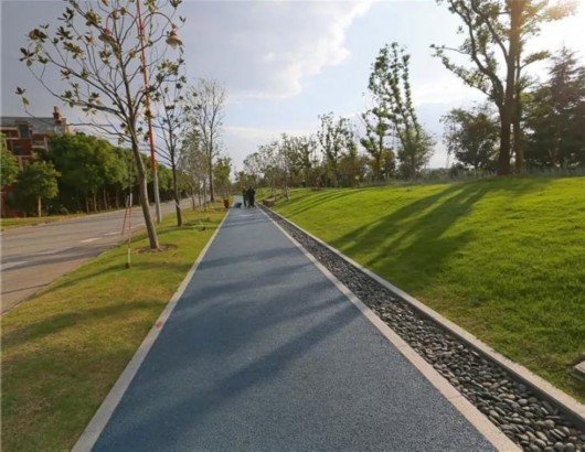 松江今年新添绿道13.2公里 有没有在你家附近