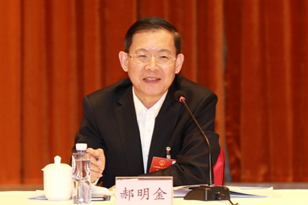 民建十一届二次中常委会议在京召开