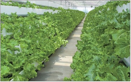 最新报道-余杭:回归乡土田园,打造都市农庄