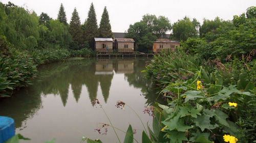 最新报道-余杭:回归乡土田园,打造都市农庄